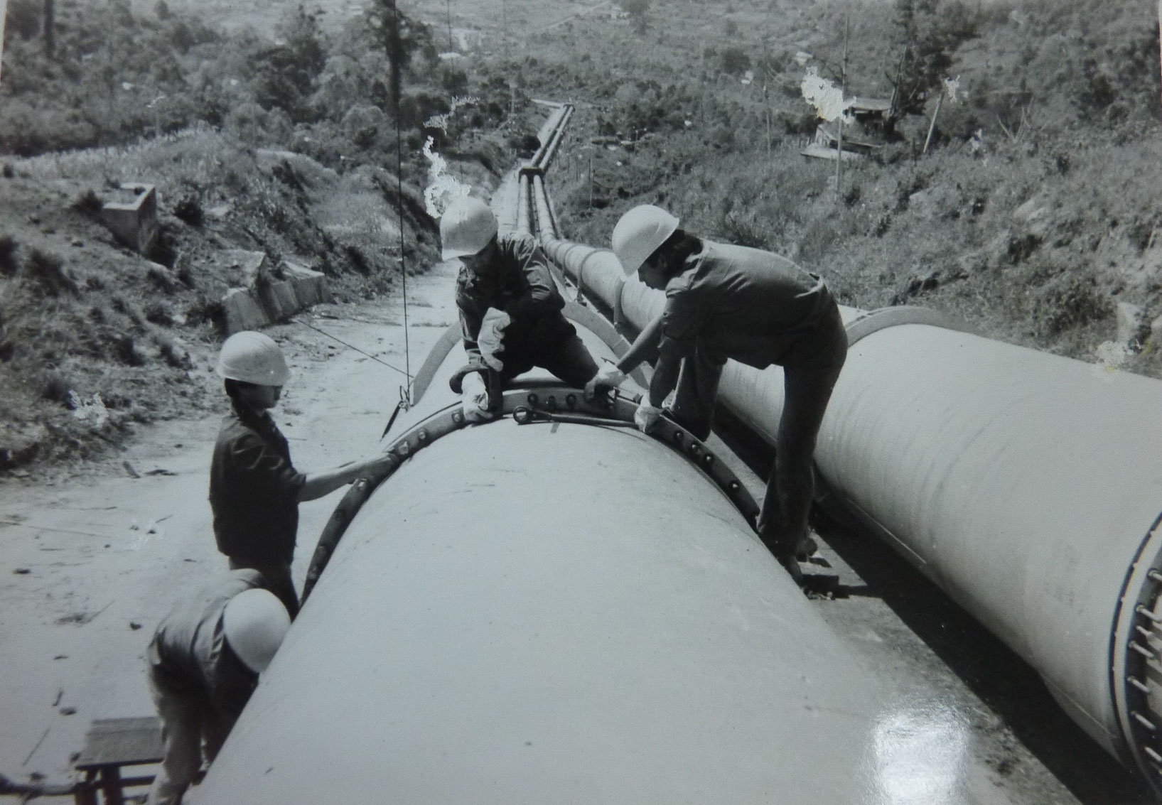 50 năm Tổng công ty Điện lực miền Nam: Tri ân lịch sử - Tự hào tiếp bước