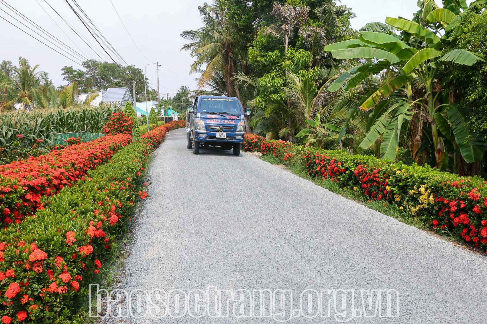 Đổi thay của xã nông thôn mới nâng cao Vĩnh Quới