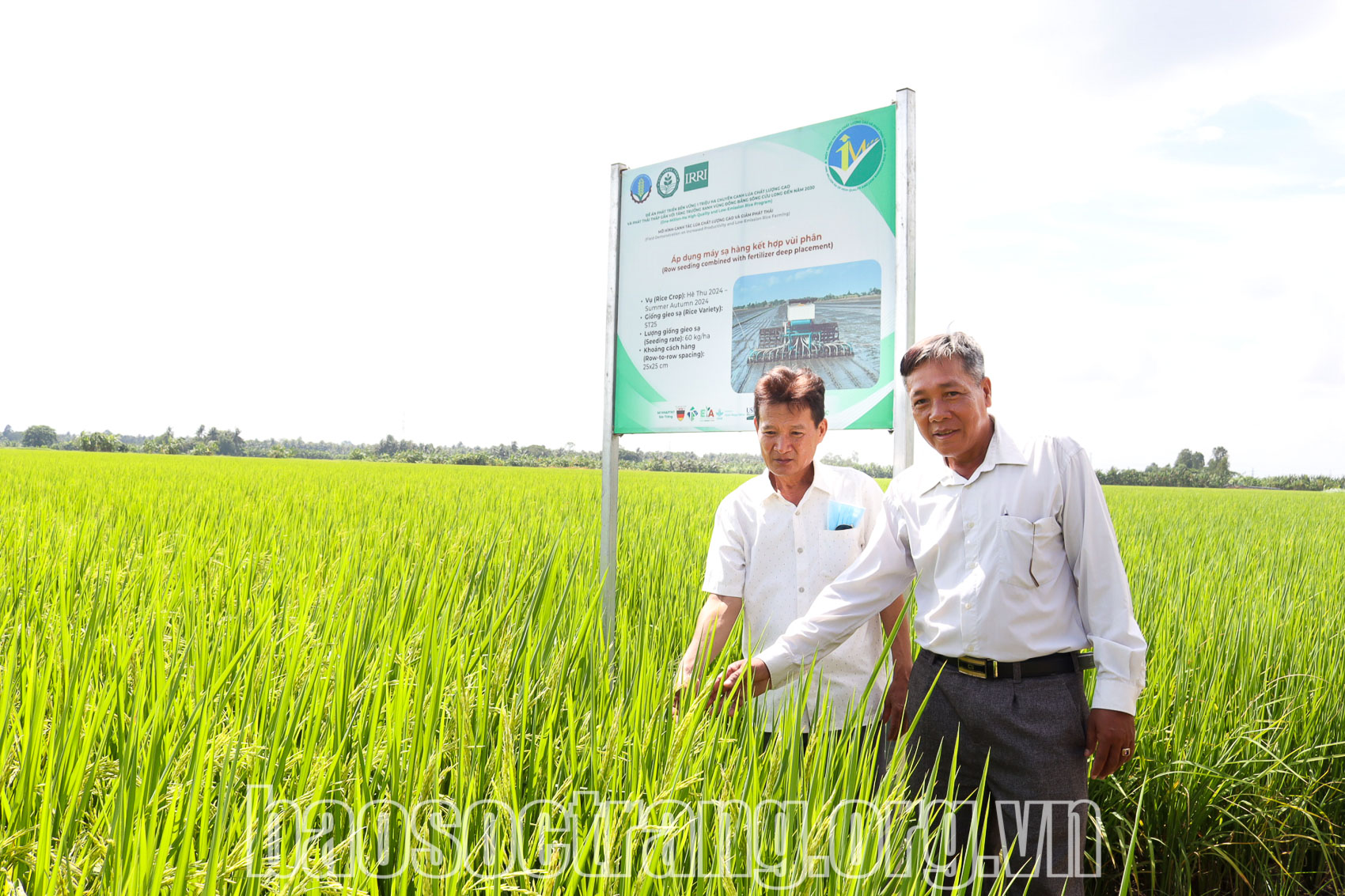 “Góc nhìn” của nông dân tham gia mô hình 1 triệu ha lúa chất lượng cao