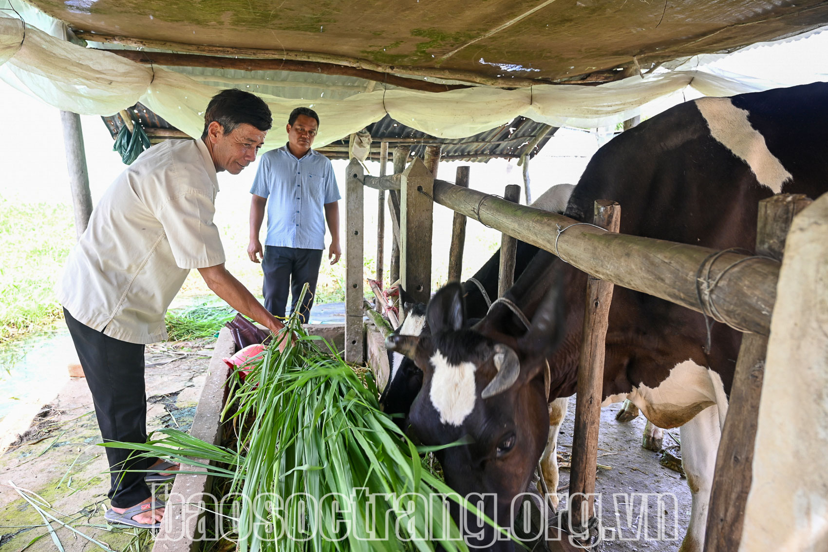 Đảng bộ xã Phú Mỹ: Phát huy vai trò của tổ chức đảng trong vùng đồng bào dân tộc thiểu số