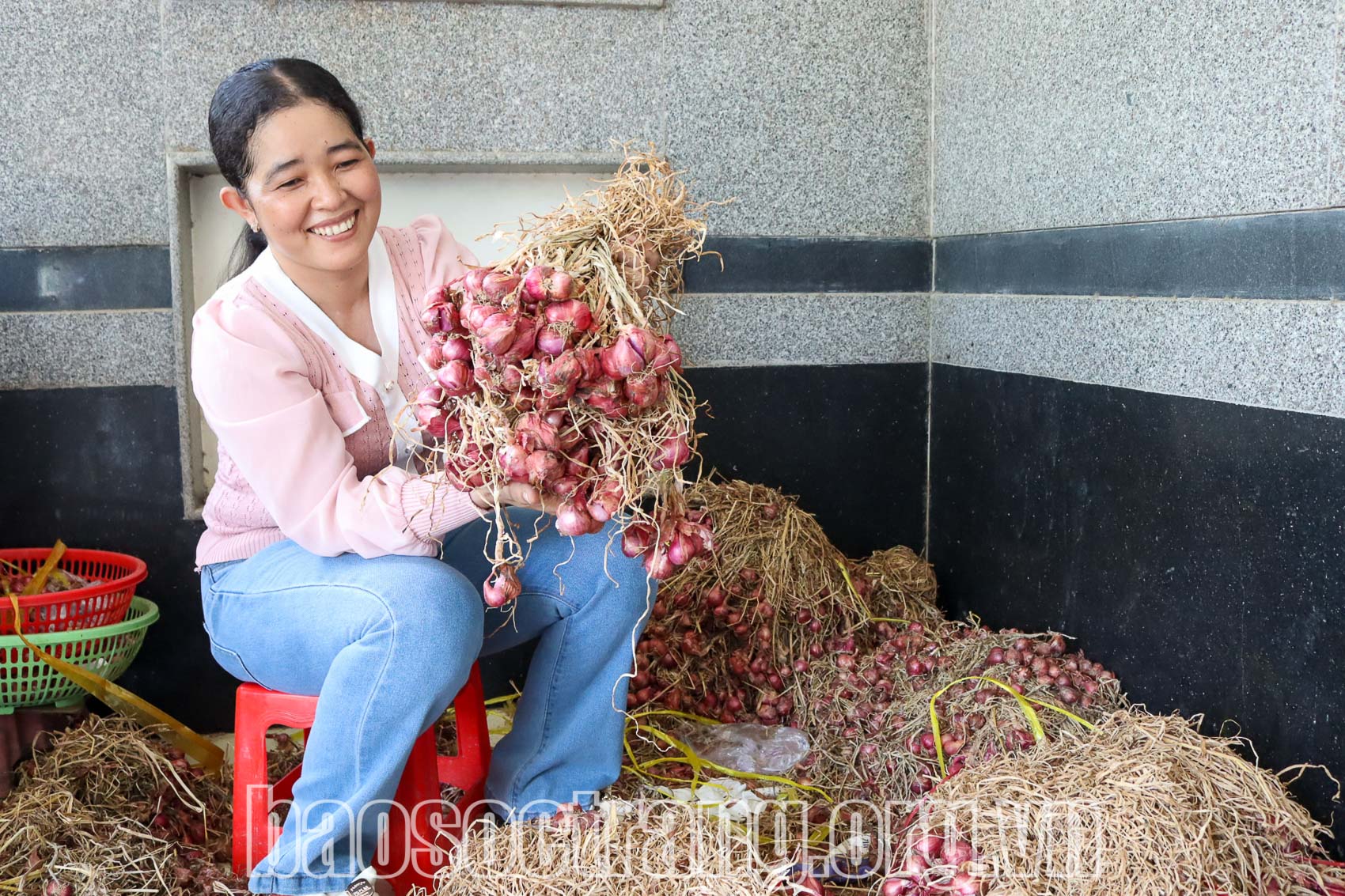 Phát triển vùng trồng hành tím hữu cơ - nông dân “hưởng lợi”