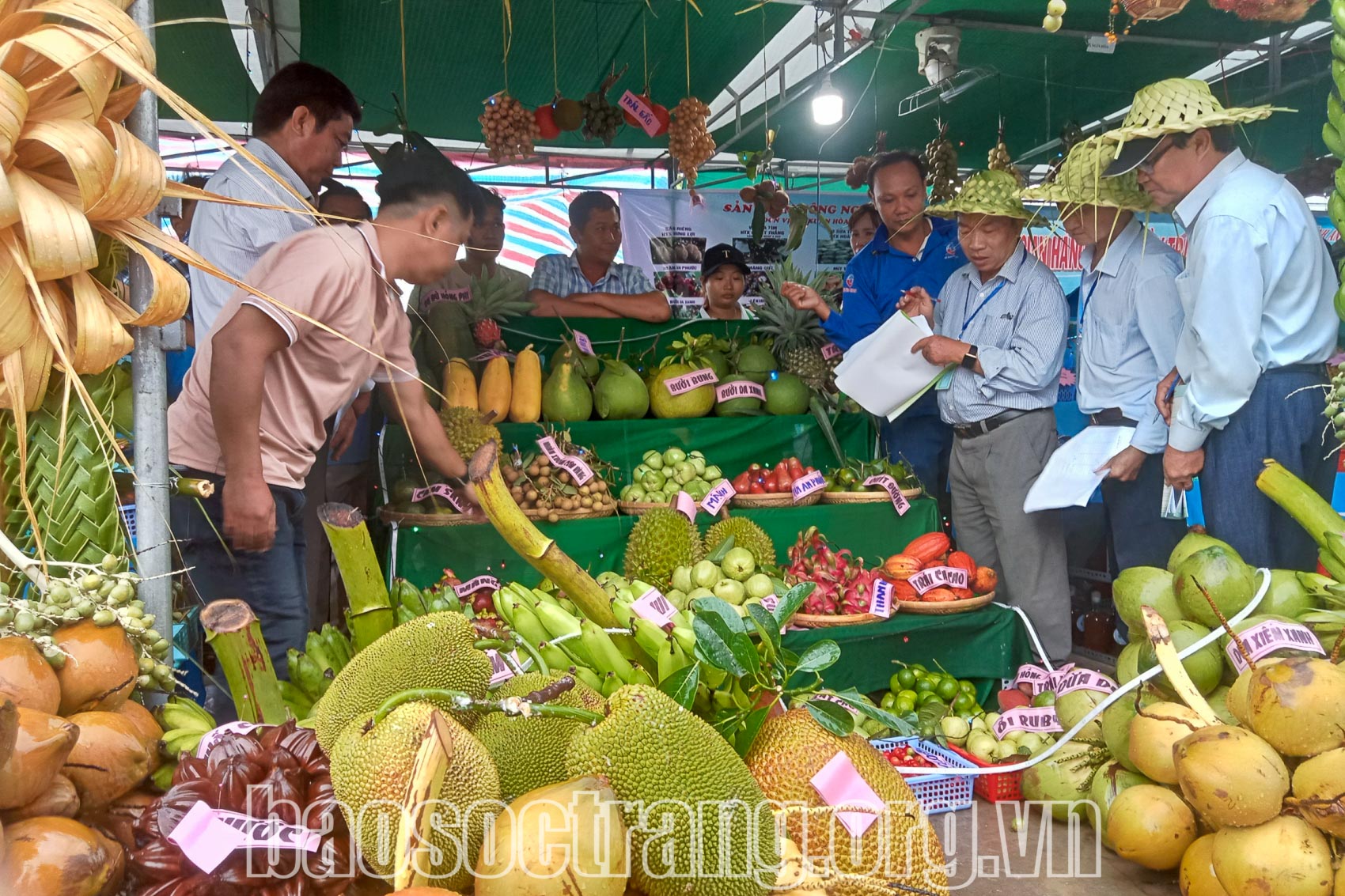 Giữ vững diện tích cây ăn trái và tạo mối liên kết bền vững
