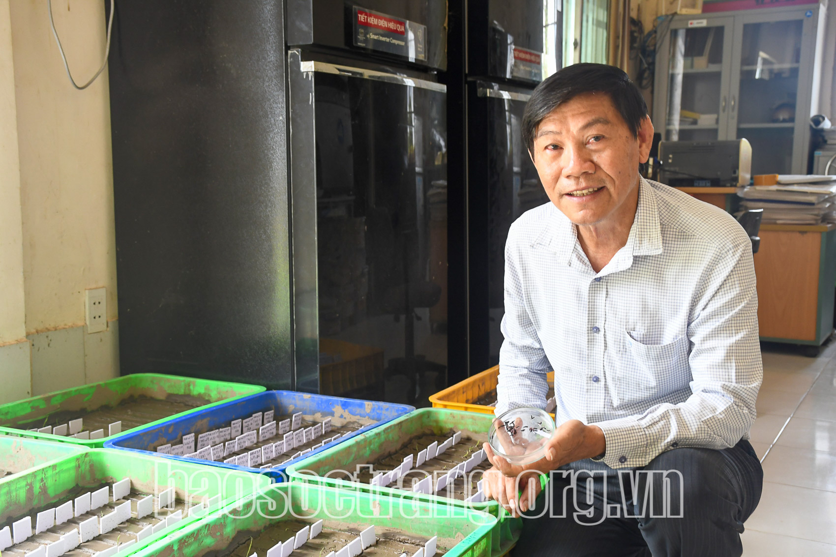 Đam mê không ngừng nghỉ